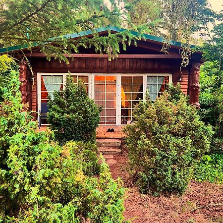 Holzhaus Baerenhoehle Am Wald Und See Neuruppin Exterior photo